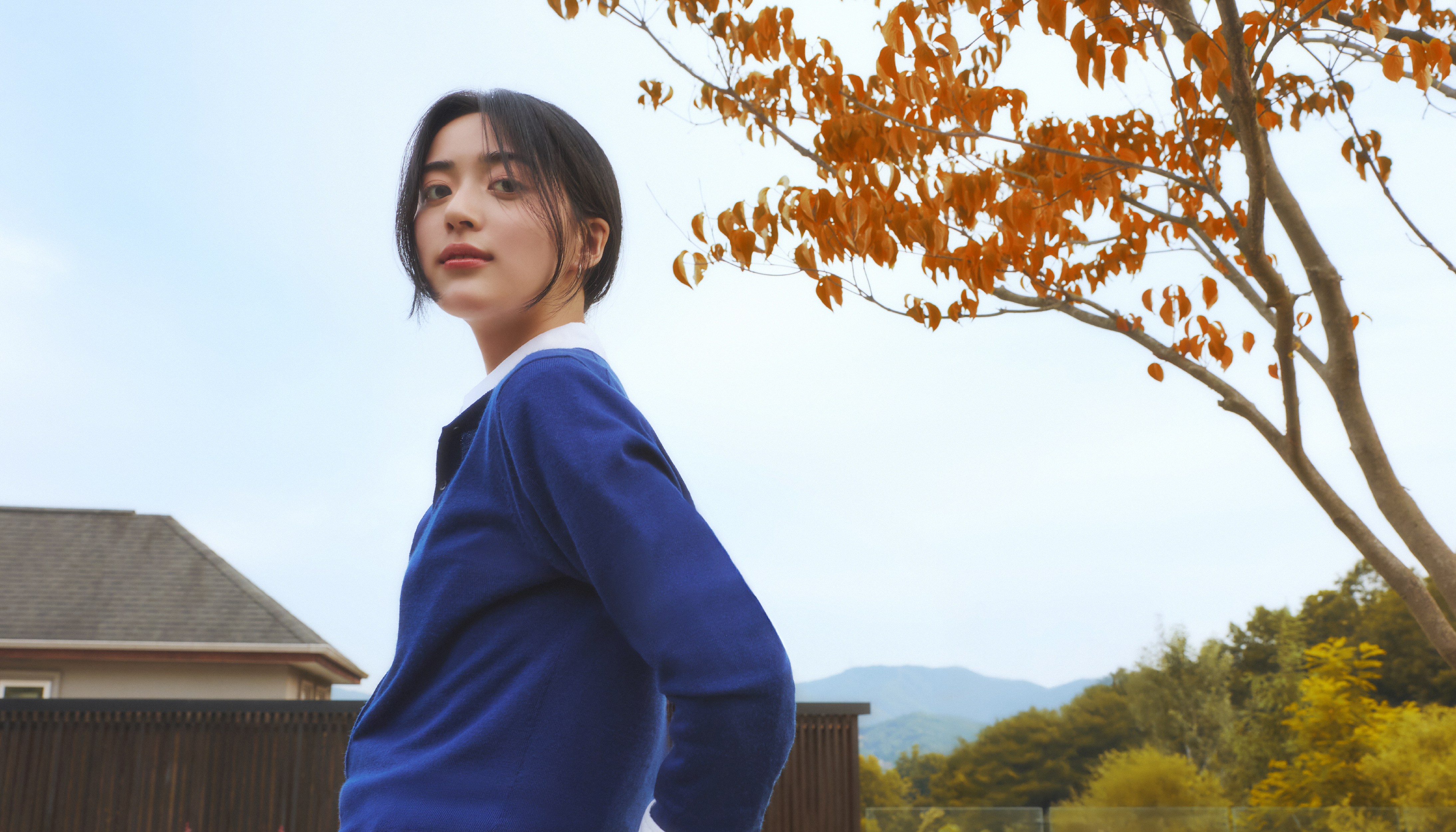 상세 이미지